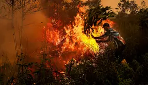 Sebaran Karhutla Hari Ini, Kalteng Catat 8.608 Titik Panas