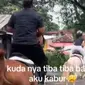 Seorang Wanita Dibawa Kabur Kuda, Nyaris Menabrak Mobil