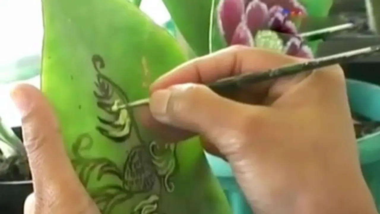 (lip6 Pagi) Lukis Daun