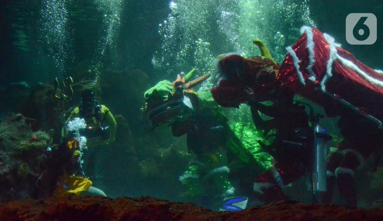 Sea World Ancol setiap tahunnya menampilkan atraksi Barongsai di dalam akuarium yang menari-nari bersama biota laut. (merdeka.com/Arie Basuki)