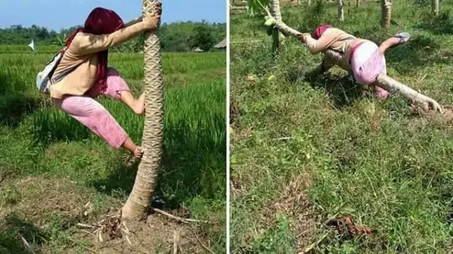 6 Tingkah Orang Petik Pepaya Ini Bikin Ngakak, Nyeleneh