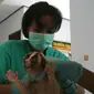 Kukang hasil tangkapan Polres Majalengka diserahkan ke BKSDA untuk mendapat bantuan penanganan medis dari tim dokter hewan IAR Indonesia. Foto (Liputan6.com / Panji Prayitno)