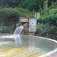 Air panas alami untuk kolam pemandian. Karena hotel ini terpencil di alam liar, para tamu bisa sejenak terbebas dari kehebohan kehidupan perkotaan. Tak ada internet di sana. (Sumber traveldreamscapes.wordpress.com)