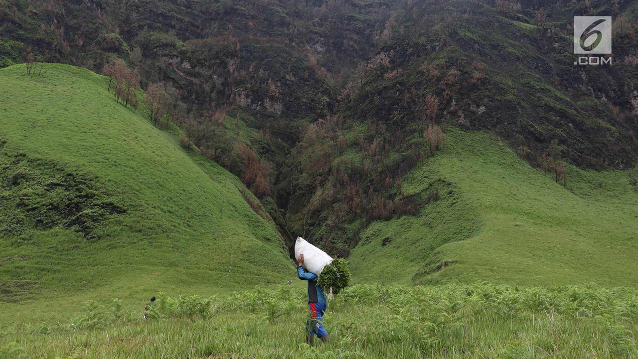 Taman Nasional Bromo Tengger Semeru