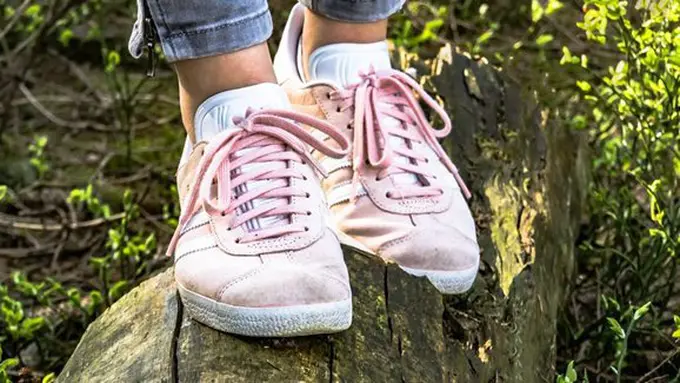 Copyright: pixabay.com