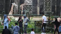 Libur Isra Miraj, 12.194 Wisatawan Padati Taman Margasatwa Ragunan