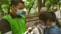 Puluhan hewan di Tangerang disuntik vaksin scabies. (Liputan6.com/ Pramita Tristiawati)