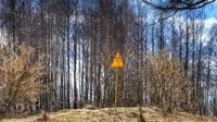Rambu peringatan radioaktivitas di sebuah bukit di ujung timur Red Forest atau Hutan Merah di Chernobyl. (Creative Commons)