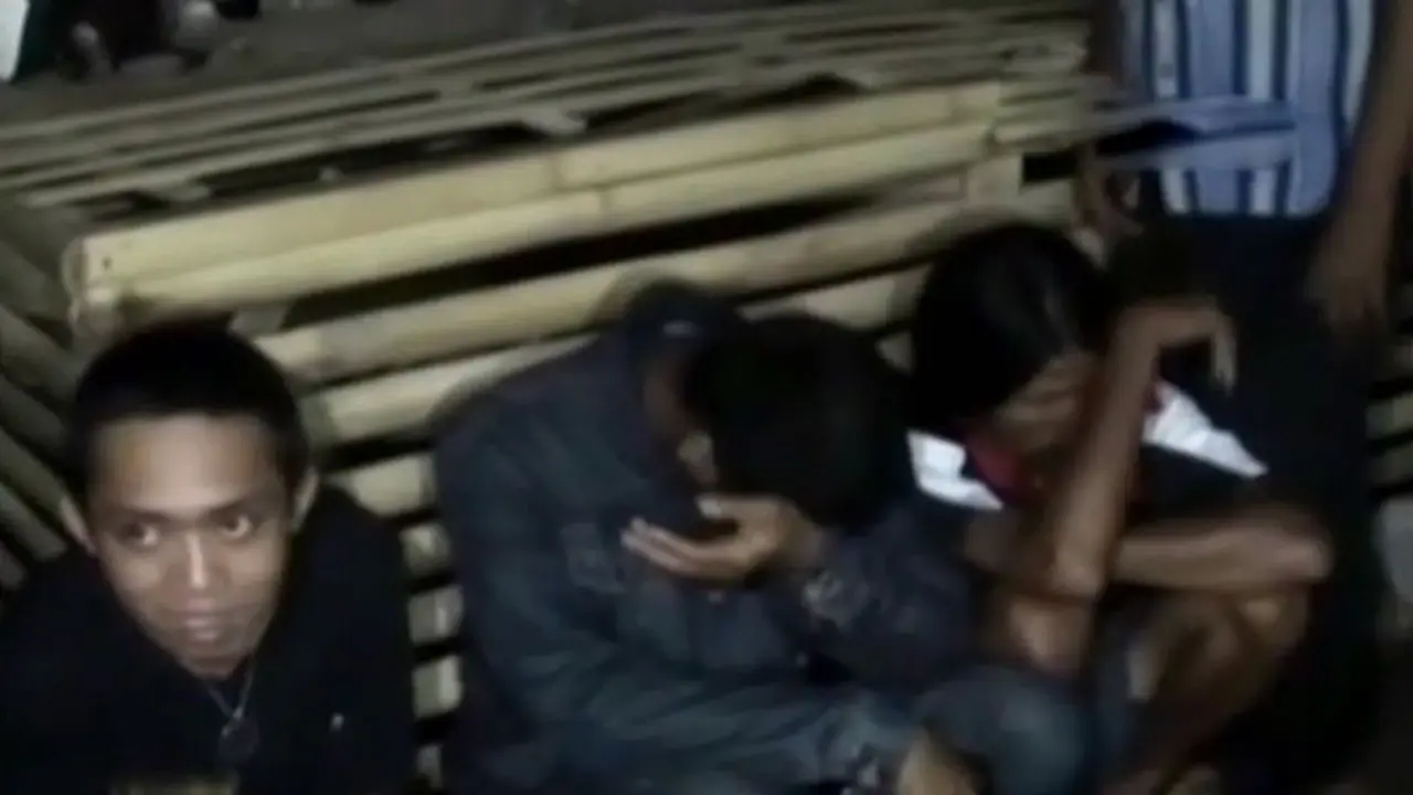 (lip6 Pagi) Sabung Ayam