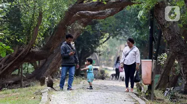 Pengunjung berjalan di Kawasan Ekowisata Mangrove PIK, Jakarta, Rabu (2/8/2023). Kawasan Ekowisata Mangrove PIK memiliki luas 95,50 hektare. (Liputan6.com/Herman Zakharia)