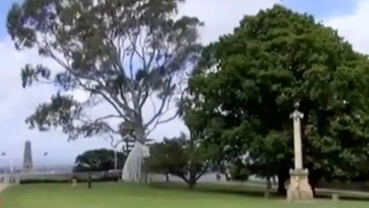 Keindahan Kings Park, Taman Kota Terbesar di Dunia