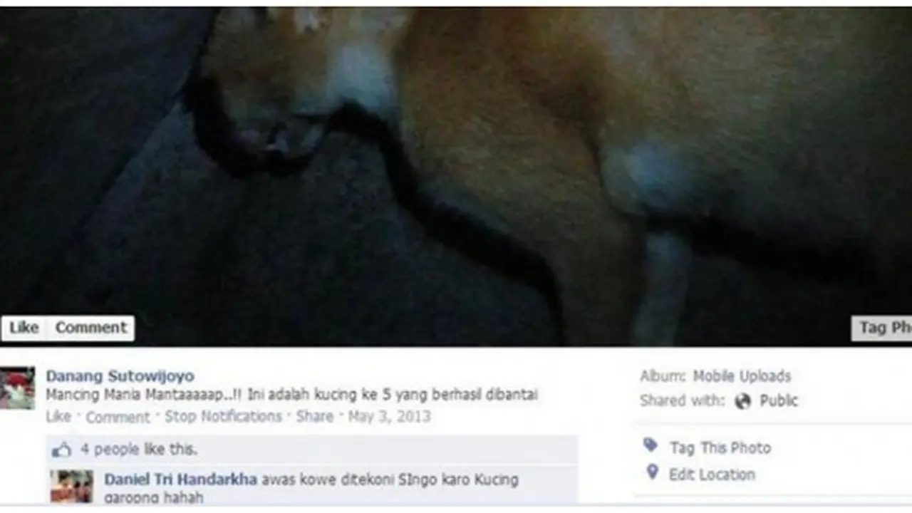 Foto: copyright merdeka.com