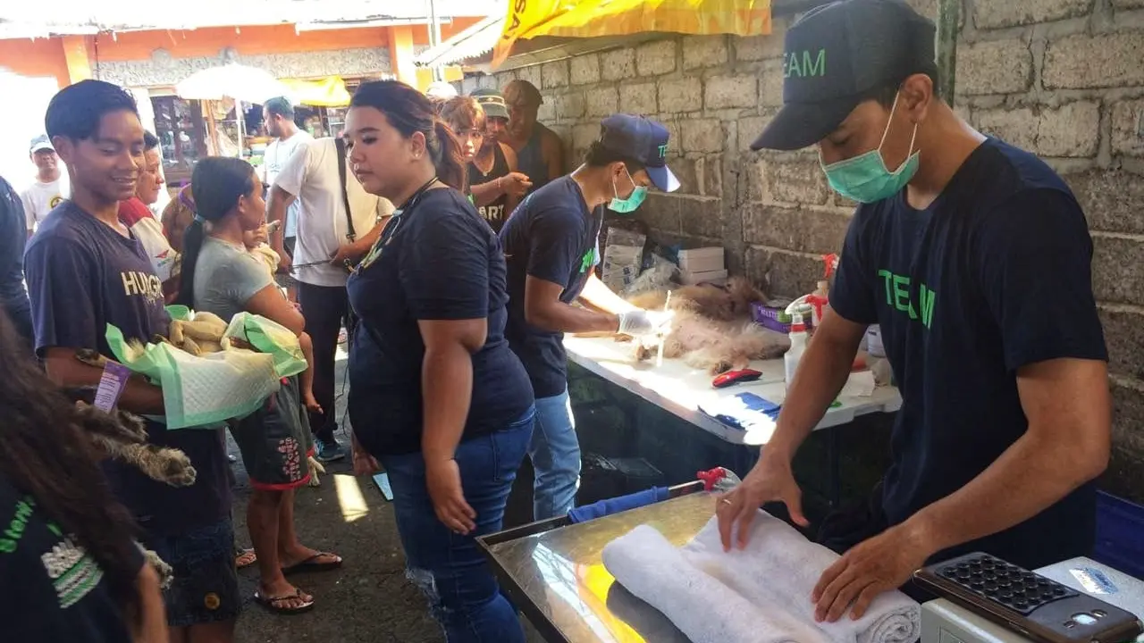 Kementerian Pertanian Kendalikan Penyakit Rabies di NTT