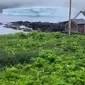 Bongkahan Es Terlihat di Pinggir Kota Kanada, Tanda Pemanasan Global Semakin Gawat (Tangkapan Layar Instagram/emoinu)