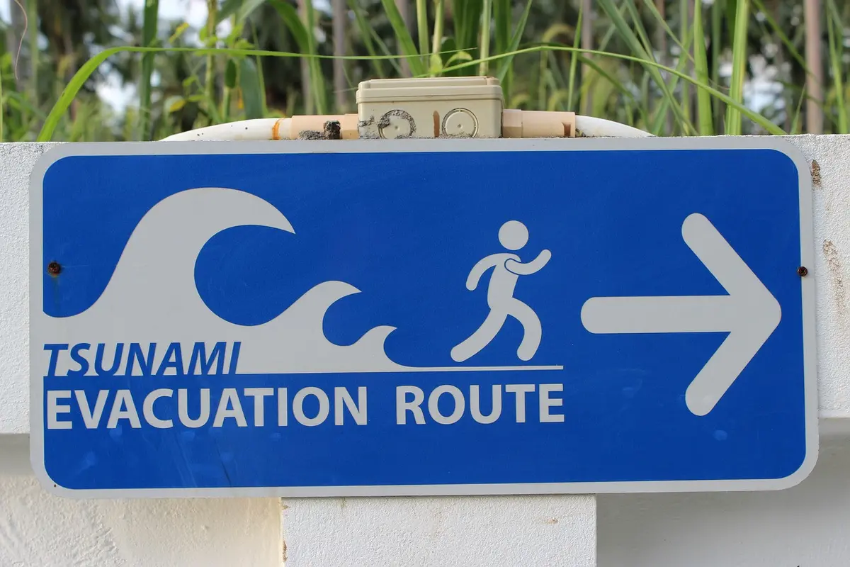Tsunami