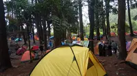 Terletak di Desa Dulamayo, Kecamatan Telaga, Kabupaten Gorontalo, Hutan Pinus Dulamayo menawarkan pesona alam yang asri (Arfandi Ibrahim/Liputan6.com)