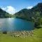 Semeru Kebakaran, 170 Pendaki Terjebak di Ranu Kumbolo