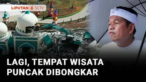 VIDEO: Hari ke-3 Pembongkaran Hibisc Fantasy Puncak, Dedi Mulyadi Pimpin Aksi Tanam Pohon