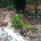 Longsor di permukiman penduduk di Kota Bekasi akibat guyuran hujan deras. (Liputan6.com/Bam Sinulingga)