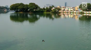 Kondisi Danau Sunter yang berwarna hijau di Jakarta Utara pada Senin (8/7/2019). Lamanya musim kemarau di Ibu kota menjadi penyebab danau tersebut berubah warna menjadi hijau yang dipicu oleh pertumbuhan lumut. (Liputan6.com/Immanuel Antonius)