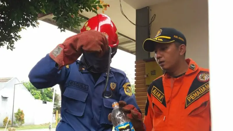 Puluhan ular kobra mengusik warga Citayam.