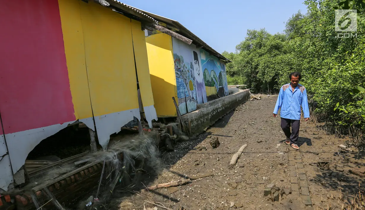 Warga berjalan di belakang rumah yang terkikis abrasi di Desa Pantai Mekar, Kecamatan Muara Gembong, Bekasi, Kamis (20/6/2019). Puluhan rumah warga di Kampung Muarajaya RT01/RW01 Desa Pantai Mekar hilang tersapu air saat terjadi abrasi selama 10 tahun. (Liputan6.com/Fery Pradolo)