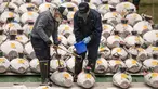 Peserta melihat tuna beku saat penjual grosir dan pembeli menghadiri lelang tuna pertama Tahun Baru di pasar ikan Toyosu di Tokyo (5/1/2023). Sejak pagi ratusan peserta lelang juga turut memeriksa kualitas daging ikan tuna tersebut. (AFP/Richard A. Brooks)