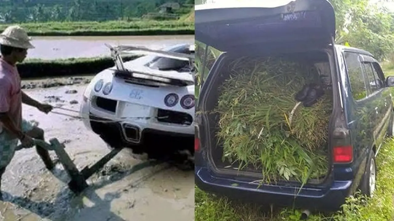 6 Potret Alih Fungsi Mobil untuk Pekerjaan di Sawah Ini Nyeleneh Banget