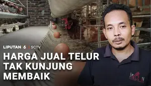 Harga Telur Tak Kunjung Membaik, Peternak Mengeluh