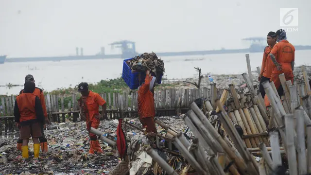 Hamparan Sampah Penuhi Muara Angke Bak Pulau di Atas Laut