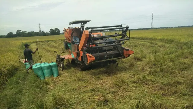 Panen Raya