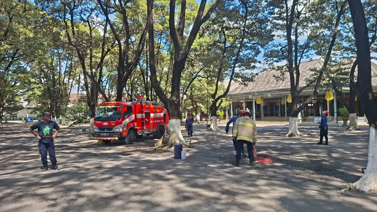 Petugas Damkar evakuasi sarang tawon di Keraton Surakarta. (Merdeka.com/Arie Sunaryo)