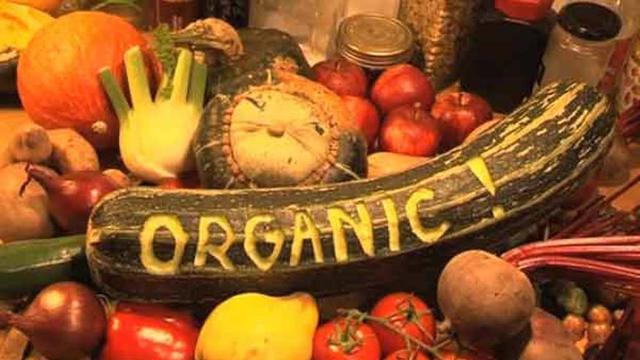Produk Organik.