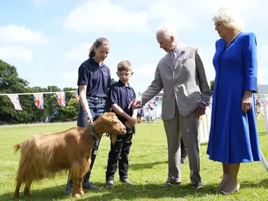 Raja Charles III dan Ratu Camilla melihat Kambing Golden Guernsey yang langka saat mengunjungi Les Cotils di L'Hyvreuse, di Saint Peter Port, Guernsey selama kunjungan dua hari mereka ke Kepulauan Channel, Selasa (16/7/2024). (Andrew Matthews/PA via AP)