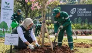 Tekan Polusi, Jaksel Gencarkan Penghijauan