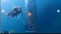 Ikan langka bernama Oarfish ditemukan di laut lepas Taiwan. Kemunculan ikan raksasa berbentuk ular pipih itu diunggah instruktur selam Wang Cheng-Ru di akun Instagram pribadinyanya pada Juni 2023 lalu.