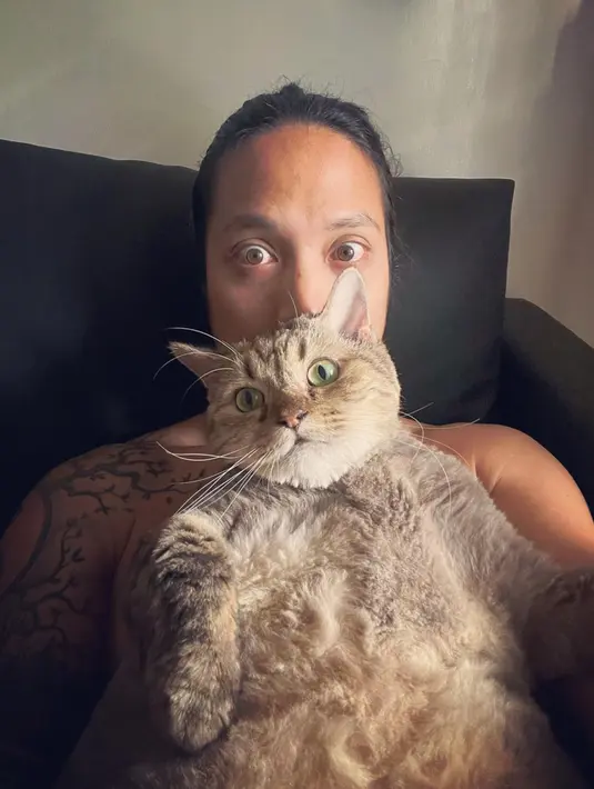 Jimbon asik rebahan di atas tubuh penyanyi pemikat wanita tersebut. Awalnya Dikta sempat memelihara 17 kucing di rumahnya. (Instagram/@dikta)