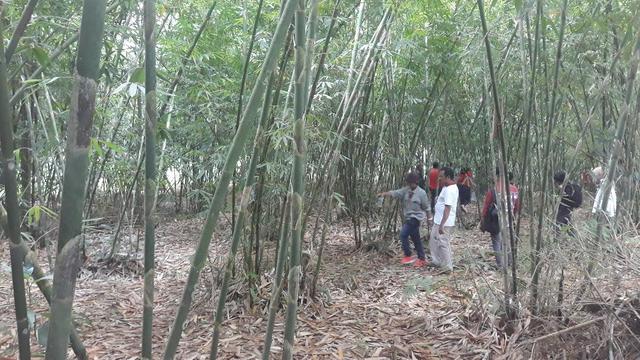 (Liputan6.com/Dewi Diviuanta)