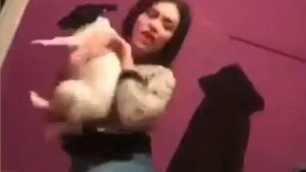 video wanita lempar anjing ke dinding (metro.co.uk)