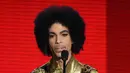 Adik dari musisi Prince,Tyka Nelson tak memiliki perjalanan mudah setelah merilis album debutnya di tahun 1988. Sempat beredar kabar jika Prince tidak membantu saudara perempuannya itu untuk keluar dari masalah keuangan. (AFP/Bintang.com)