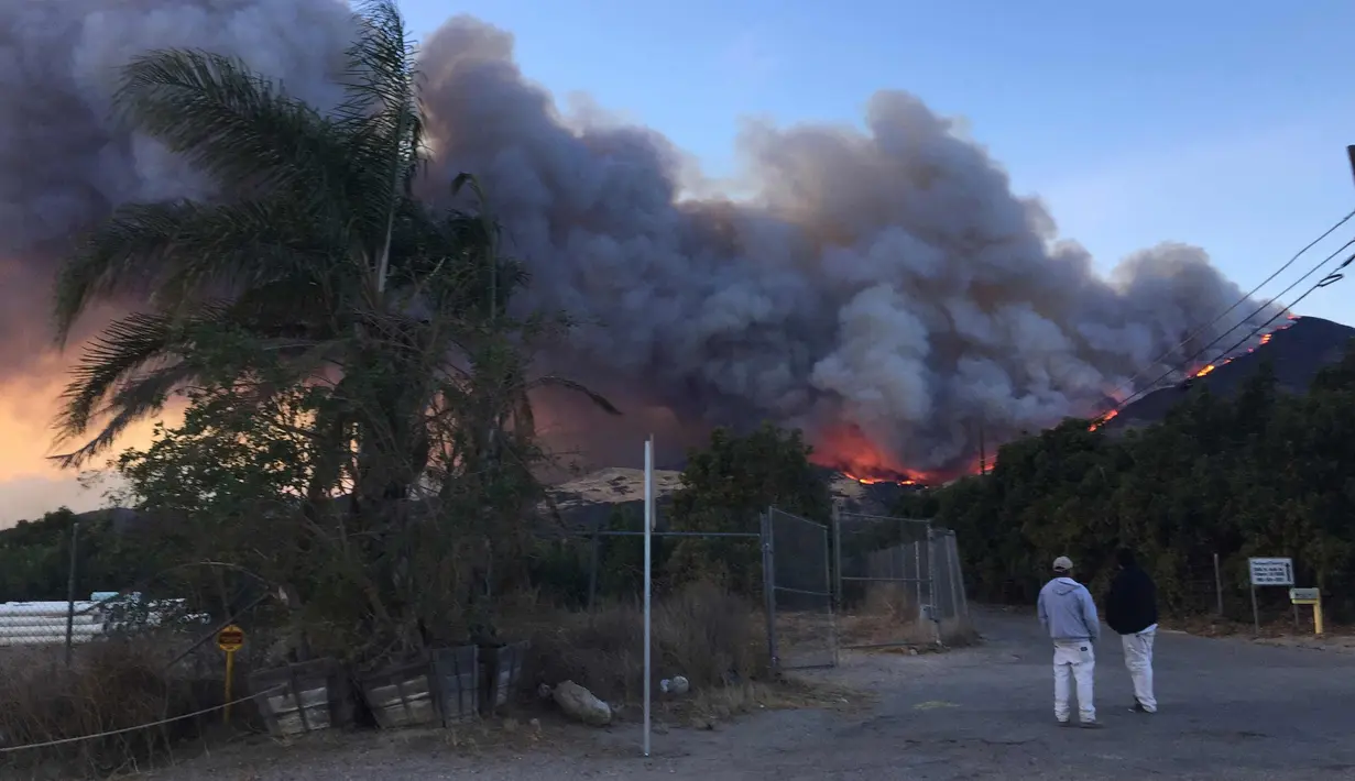 Suasana kebarakan hutan di perbukitan di sebelah jalan raya CA-126, sebelah barat laut Fillmore, California, (7/12). kebakaran ini telah melahap lahan dan rumah selama berhari-hari. (AP Photo / Amanda Lee Myers)