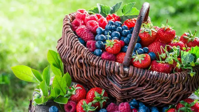 Berries, Buah untuk Jaga Kualitas Ingatan Anda