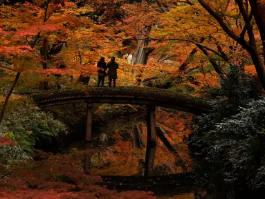 Wisatawan memotret warna-warni dedaunan saat musim gugur di Taman Rikugien, Distrik Bunkyo, Tokyo, Jepang, Selasa (10/12/2019). Musim gugur di Tokyo jatuh bulan November hingga pertengahan Desember. (AP Photo/Jae C. Hong)