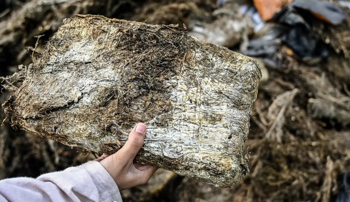 Barang bukti itu merupakan hasil pengungkapan kasus di berbagai wilayah Aceh. (Chaideer MAHYUDDIN/AFP)