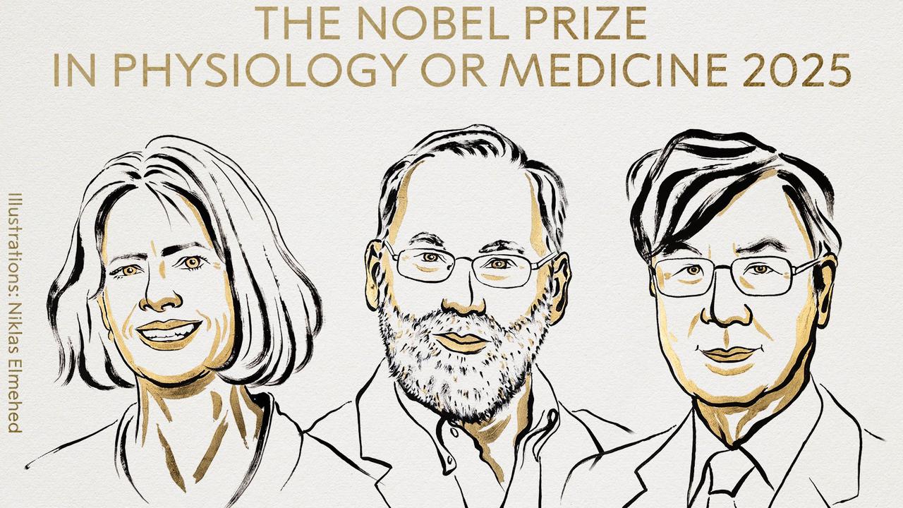Peripheral Immune Tolerance: The Key to the 2025 Nobel Prize Winners in Medicine