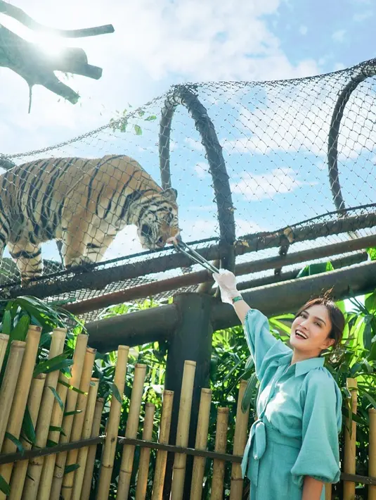 Shandy jalan-jalan ke kebun binatang untuk memperkenalkan dunia hewan pada Claire. Di sini Shandy berani memberi makan harimau. (Instagram @shandyaulia)