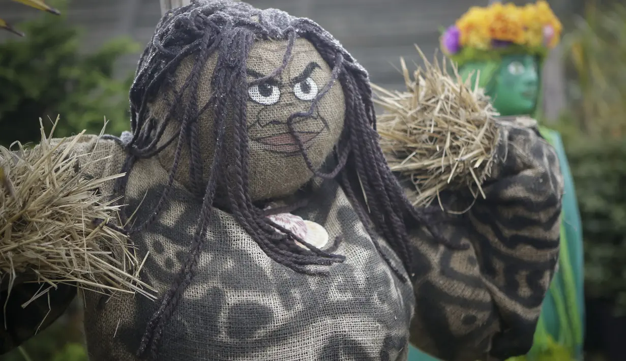 Sebuah orang-orangan sawah ditampilkan dalam Festival Orang-orangan Sawah tahunan jelang perayaan Halloween di Langley, British Columbia, Kanada (19/10/2020). (Xinhua/Liang Sen)