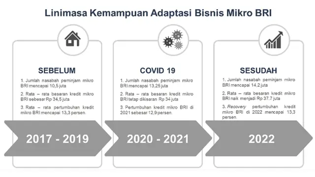 Bisnis Mikro BRI