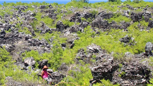 Pulau Banaba