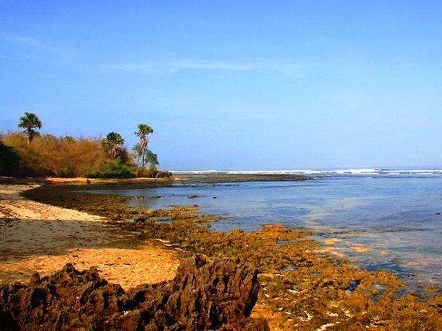 7 Pantai Paling Hits Di Jember Dan Banyuwangi Lifestyle Liputan6 Com